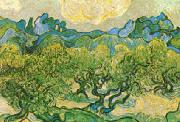 Vincent Van Gogh Olive Trees with the Alpilles in the Background oil painting on canvas